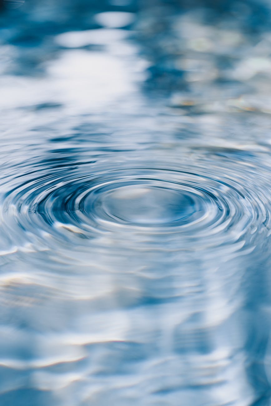 The Ripple Effect of Being an Entrepreneur: How Sharing What You Know Can Build a Business (and Change&nbsp;Lives)